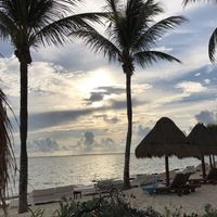 Excellence Punta Cana