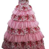 Anyone else feel we should be buying a prom dress rather than a wedding dress?