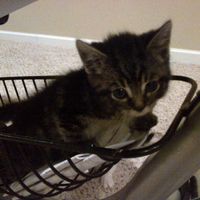 NWR For Fun. Furry Friends!