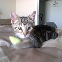 NWR For Fun. Furry Friends!