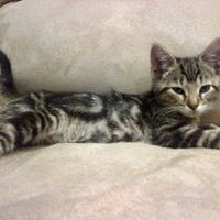 NWR For Fun. Furry Friends!