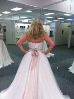 Wedding Gown change/Bridal party colors! Help!