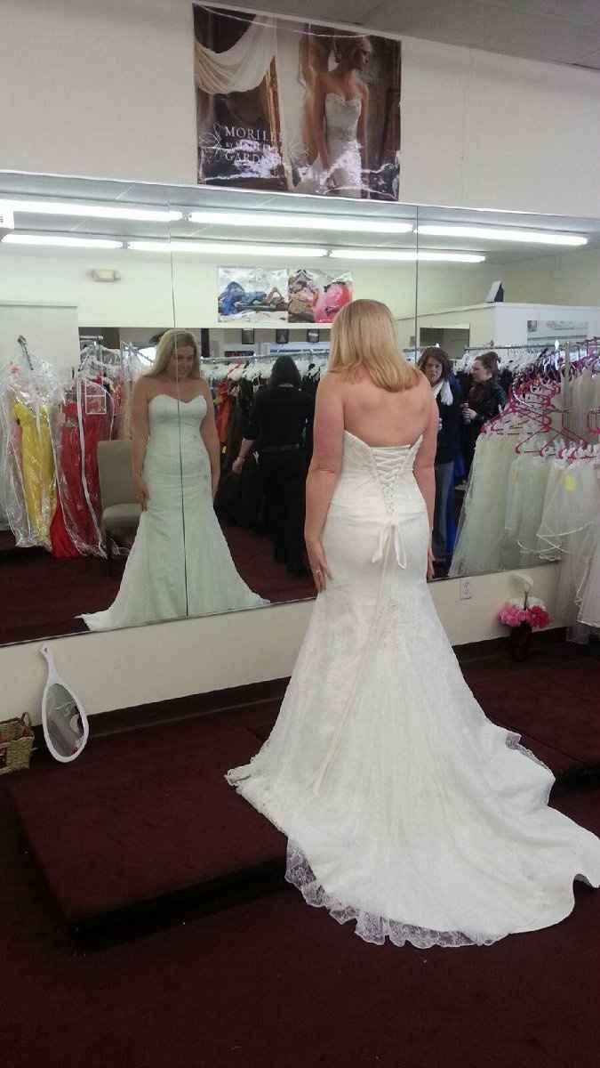 Wedding Gown change/Bridal party colors! Help!