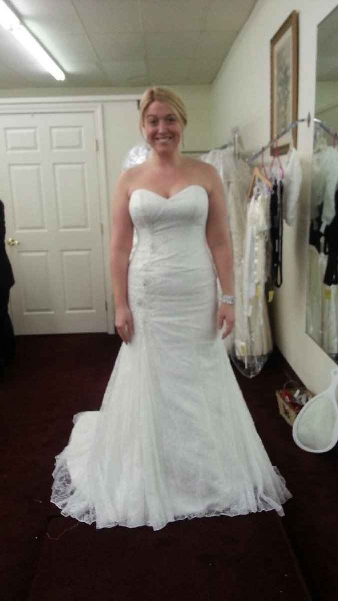 Wedding Gown change/Bridal party colors! Help!