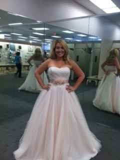 Wedding Gown change/Bridal party colors! Help!