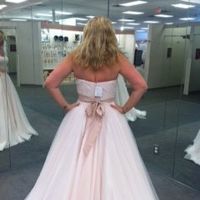 Wedding Gown change/Bridal party colors! Help!