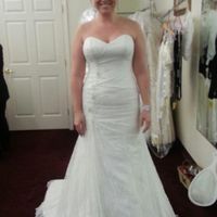 Wedding Gown change/Bridal party colors! Help!