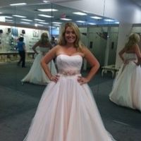 Wedding Gown change/Bridal party colors! Help!