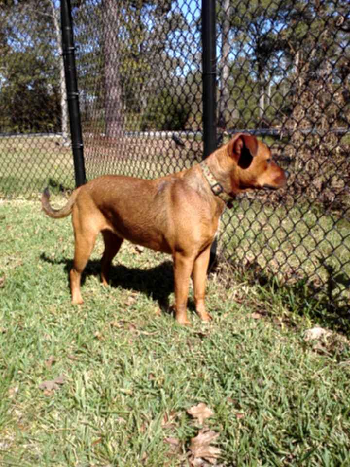 NWR: pets!