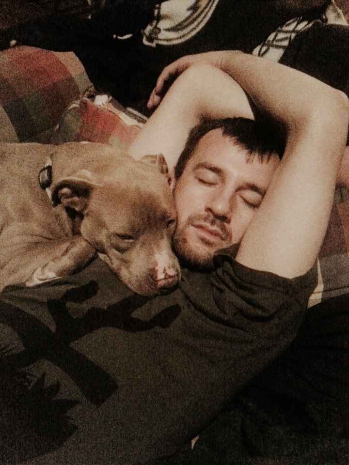 #petlife - pet memes & furbaby pictures!