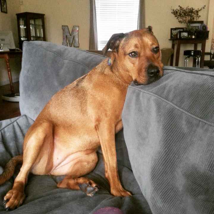 NWR: Meet our new furbaby!