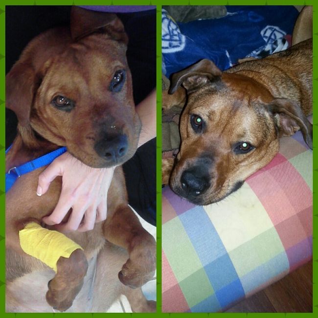 NWR- Furbaby Friday