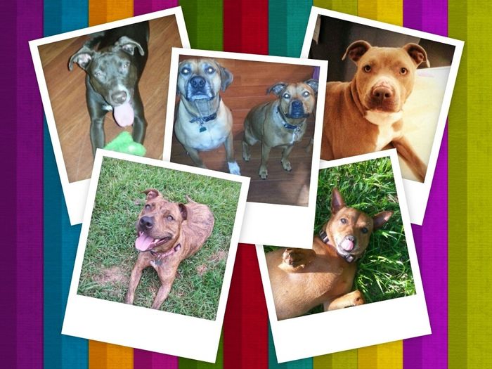 NWR- Furbaby Friday
