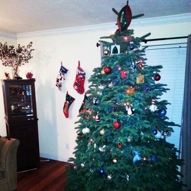NWR Show me your tree!