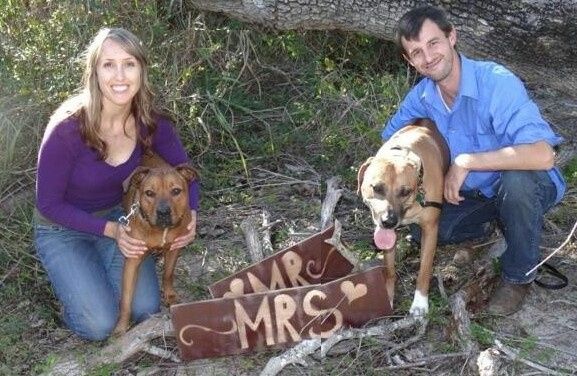 Pets in Pro Pics