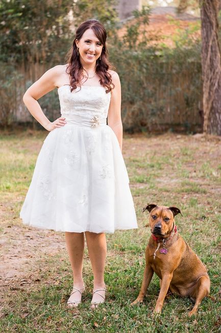 Pets in Pro Pics