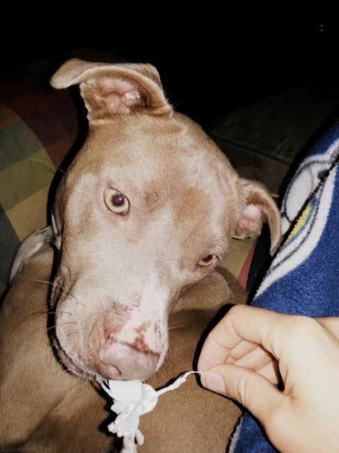 NWR:  Meet Annabelle!