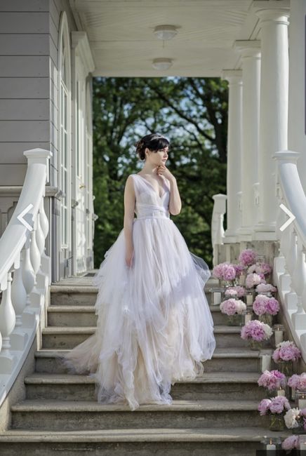 Can't Get Dream Dress - Need Alternatives - 1