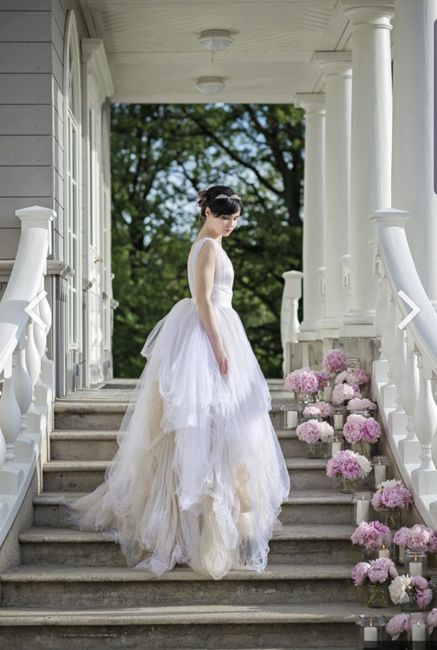 Can't Get Dream Dress - Need Alternatives - 2
