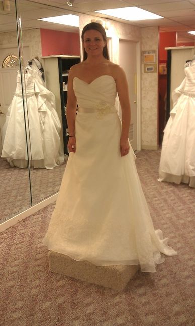 Found my dress need opinions