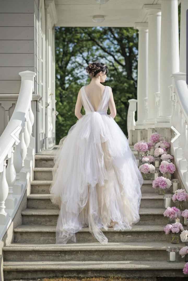 Can't Get Dream Dress - Need Alternatives 3
