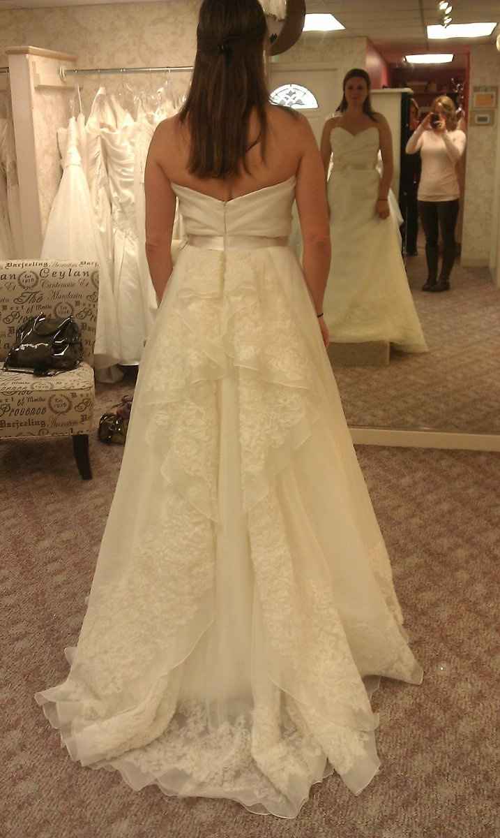 Found my dress need opinions