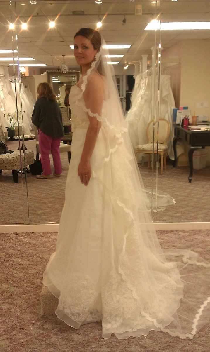 Found my dress need opinions