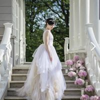 Can't Get Dream Dress - Need Alternatives - 2