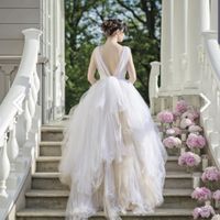Can't Get Dream Dress - Need Alternatives - 3