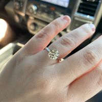 Show me the Ring!💍 - 1