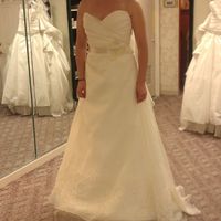 Found my dress need opinions