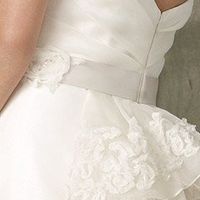 Found my dress need opinions