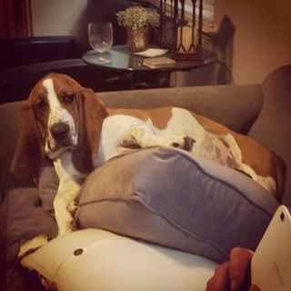 NWR Happy Fursday!!!