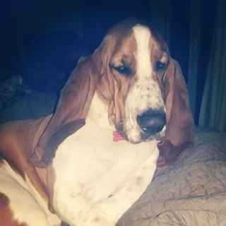 NWR Happy Fursday!!!