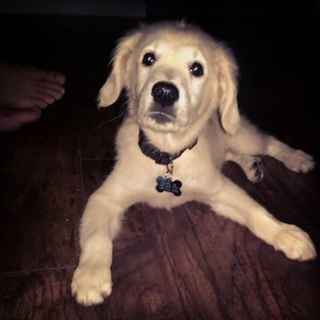 NWR: New addition to the family!