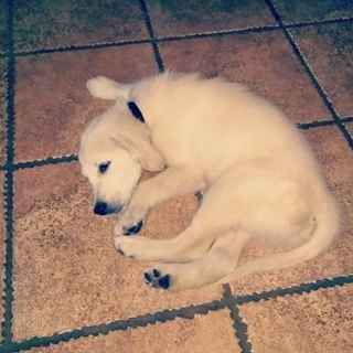 NWR: New addition to the family!