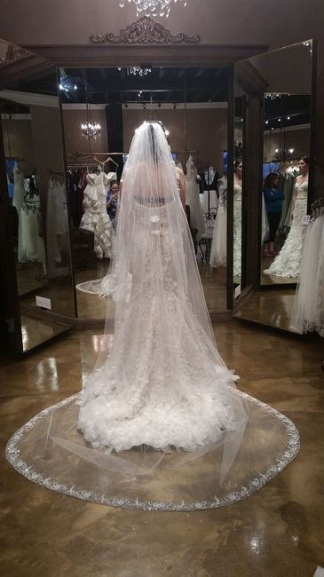Show me your veils!
