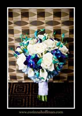 blue dendrobium orchids