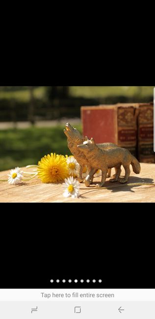Show me Your Cake Toppers! - 1