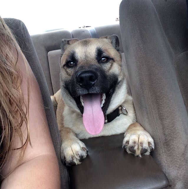 Fur baby
