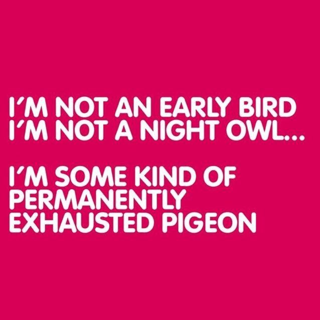 Night Owl or Early Bird? Which one are you?