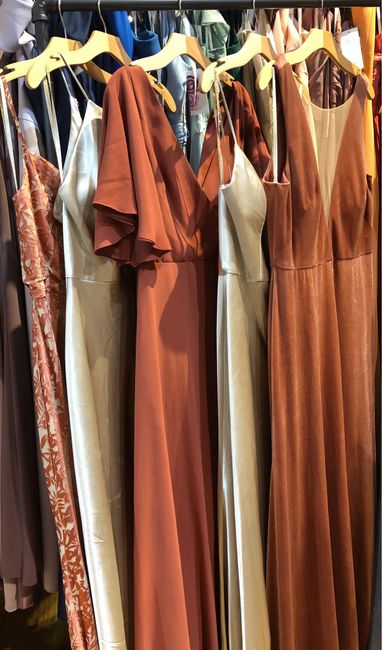 Bridesmaid Dress Dilemma 2