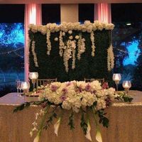 Finally!!!! It was a beautiful day!! bam (non pro pics) - 3