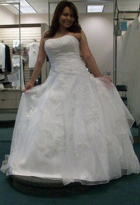 Calling all David's Bridal Brides... Let's see all the dresses and see who's dress twins! :D