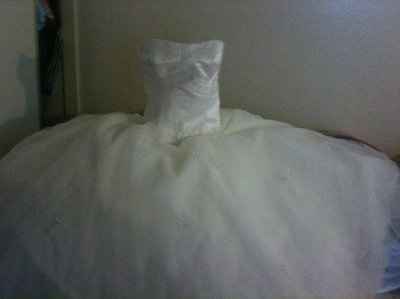 i wanna see your dress!!!