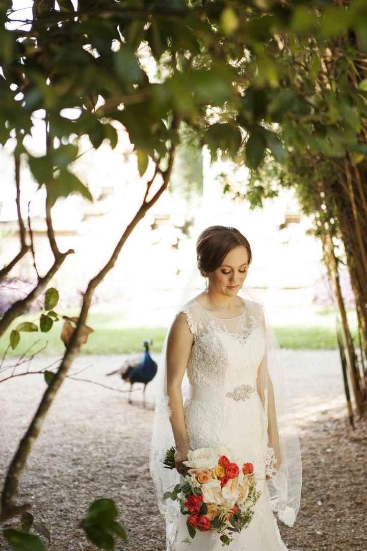 Bridal Pics are in!!