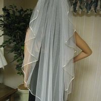 Help! Need opinions on my veil!!