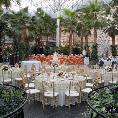 Show Me Your Venue
