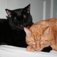 NWR: Show off your fur baby!