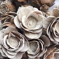  Real vs Fake Flowers - 2